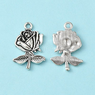 Tibetan Style Alloy Pendants LS-TIBEP-EA155YKG-AS-LF-1