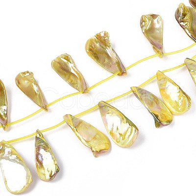 AB Color Plated Dyed Natural Freshwater Shell Beads Strands X-SHEL-T020-55D-1