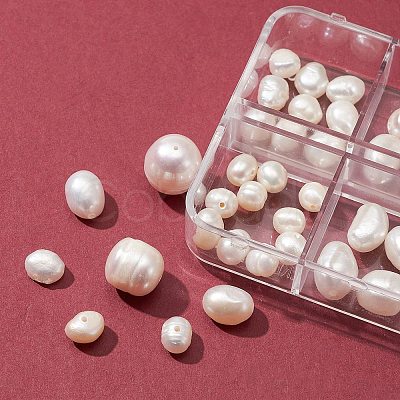 4 Styles Natural Cultured Freshwater Pearl Beads SHEL-FS0001-04-1
