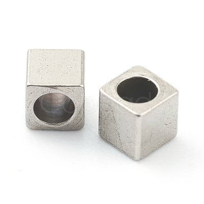 Non-Tarnish 304 Stainless Steel Beads LS-STAS-H160-01D-P-1
