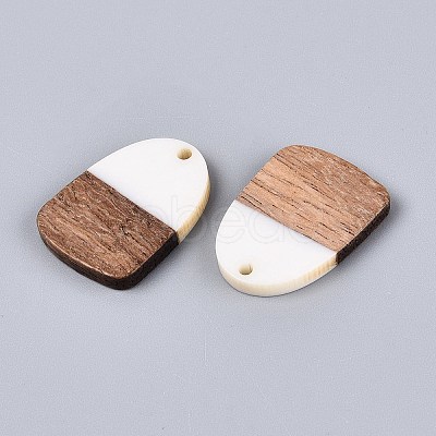 16Pcs 8 Styles Opaque Resin & Walnut Wood Pendants RESI-N053-20-1