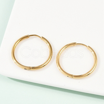 304 Stainless Steel Huggie Hoop Earrings EJEW-G272-02-20mm-G-1