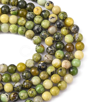 Natural Serpentine Beads Strands G-N166-4-1