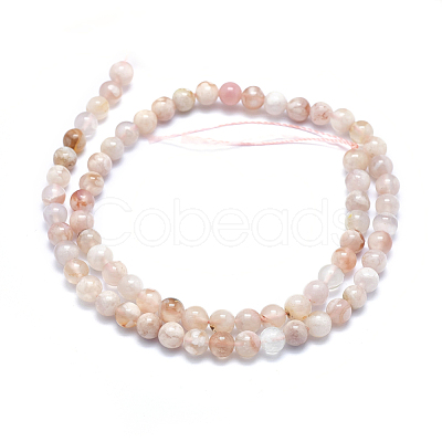 Natural Cherry Blossom Agate Beads Strands G-I213-23-6mm-1