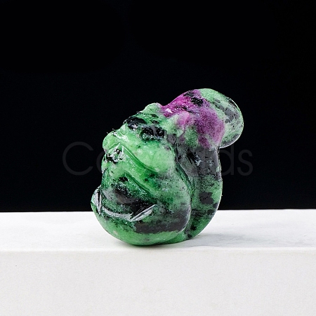 Natural Ruby in Zoisite Display Decorations DJEW-PW0011-07F-1