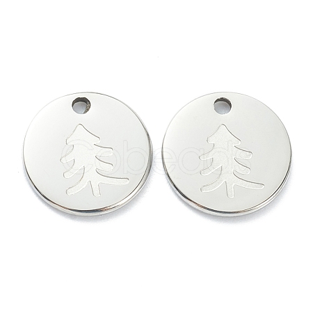 Non-Tarnish 304 Stainless Steel Charms STAS-P280-13P-1