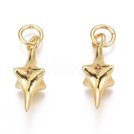Brass Micro Pave Clear Cubic Zirconia Pendants ZIRC-O035-20G-1
