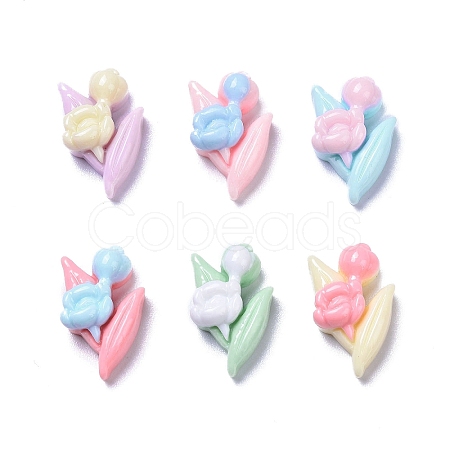 Opaque Cute Resin Decoden Cabochons RESI-B024-03M-1