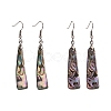 Abalone Shell/Paua ShellEarrings EJEW-Q166-1-1