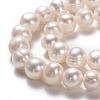 Natural Cultured Freshwater Pearl Beads Strands PEAR-L033-18-01-2