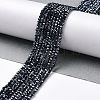 Electroplate Glass Beads Strands GLAA-H021-01A-FP02-3