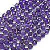 Natural Amethyst Beads Strands G-K389-B63-01-1