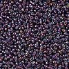MIYUKI Round Rocailles Beads SEED-G007-RR1013-3