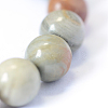 Natural Silver Leaf Jasper Round Bead Strands G-E334-8mm-04-4