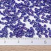 MIYUKI Round Rocailles Beads SEED-G007-RR0484-4