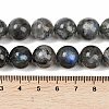 Natural Labradorite Beads Strands G-Z133-A01-13mm-02-5