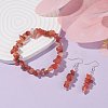 Natural Red Agate Chips Beaded Jewelry Set SJEW-JS01232-04-2