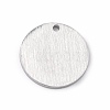 Tarnish Resistant 304 Stainless Steel Pendants STAS-F271-02B-P-3