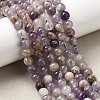Natural Chevron Amethyst Beads Strands G-L552H-06A-7