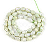 Anti-Tarnish Electroplate Glass Beads Strands X-GLAA-T025-13A-04-2
