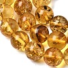 Natural Amber Beads Strands G-K376-H03-03-4