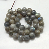 Natural Labradorite Beads Strands G-G212-6mm-23-2