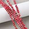 Dyed Natural Regalite/Imperial Jasper/Sea Sediment Jasper Beads Strands G-B124-C05-09-5