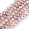 Natural Cultured Freshwater Pearl Beads Strands PEAR-P064-19E-04B-2