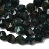 Natural Bloodstone/Heliotrope Beads Strands G-Z119-A16-01-5