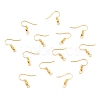 Iron Earring Hooks X-E135-NFG-3