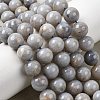 Natural Gemstone Beads Strands G-L641-A01-04-1