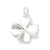 925 Sterling Silver Charms LS-FIND-Z069-04S-C-1