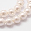 Shell Pearl Bead Strands BSHE-L026-03-6mm-5
