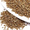 FGB 11/0 Grade A Glass Seed Beads X-SEED-S030-1219-1