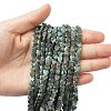 Natural African Turquoise(Jasper) Beads Strands G-A272-A01-06-2