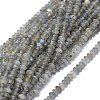 Natural Labradorite Beads Strands G-I249-D17-1