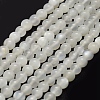 Natural White Moonstone Beads Strands G-P335-04-6mm-1