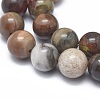 Natural Petrified Wood Beads Strands G-I254-07B-3