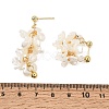 304 Stainless Steel Hoop Earrings X-EJEW-TA00611-2