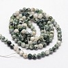 Natural Tree Agate Beads Strands X-G-N0192-01-3mm-2