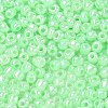 DIY Craft Beads 6/0 Ceylon Round Glass Seed Beads X-SEED-A011-4mm-144-2