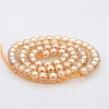 Pearl Luster Plated Glass Round Beads Strands GLAA-A025-6mm-PL01-2