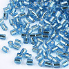 FGB Grade A Glass Seed Beads SEED-S022-04A-14-2