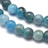 Natural Apatite Beads Strands G-I254-08A-3