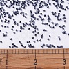 MIYUKI Delica Beads SEED-JP0008-DB0301-4