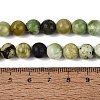 Natural Serpentine Beads Strands G-Q616-07C-5