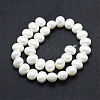 Shell Pearl Beads Strands BSHE-F001-02B-2