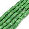 Synthetic Turquoise Beads Strands G-V003-A01-04-2