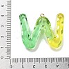Resin Pendant FIND-Q107-01W-02-3