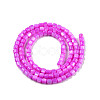 Natural Freshwater Shell Beads Strands SHEL-N003-33-A05-2